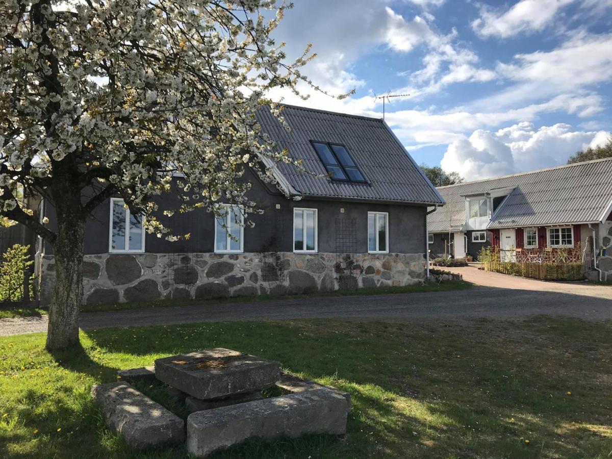 Cocoon Meetings Bed & Breakfast Degeberga Exterior photo